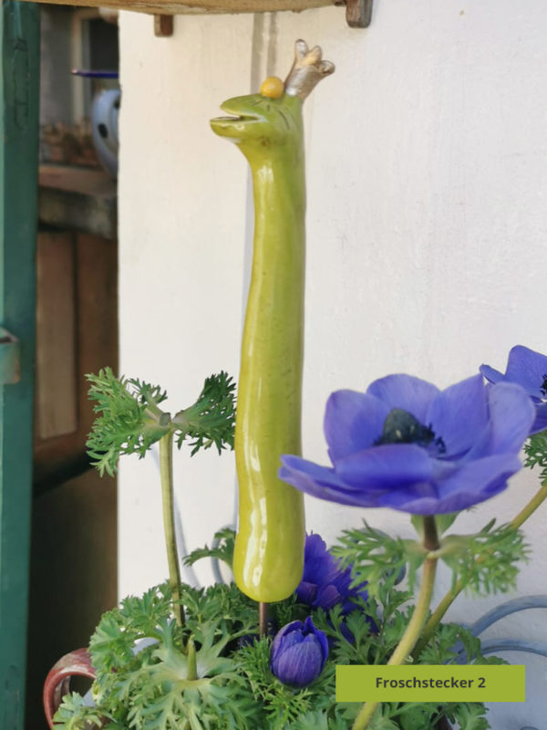 Steckfrosch lang – Bild 4