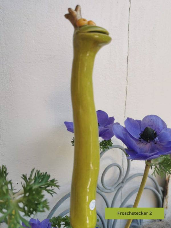 Steckfrosch lang – Bild 3