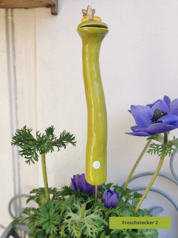 Steckfrosch lang – Bild 2