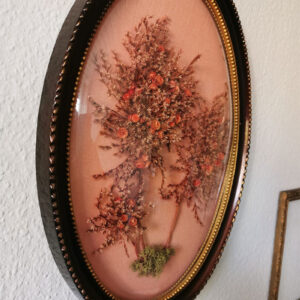 Trockenblumen hinter Glas