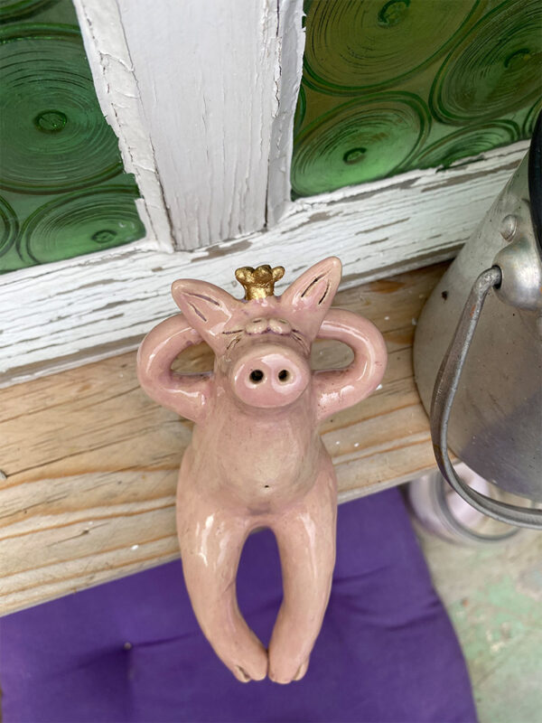 Kantenhockerschwein – Bild 4