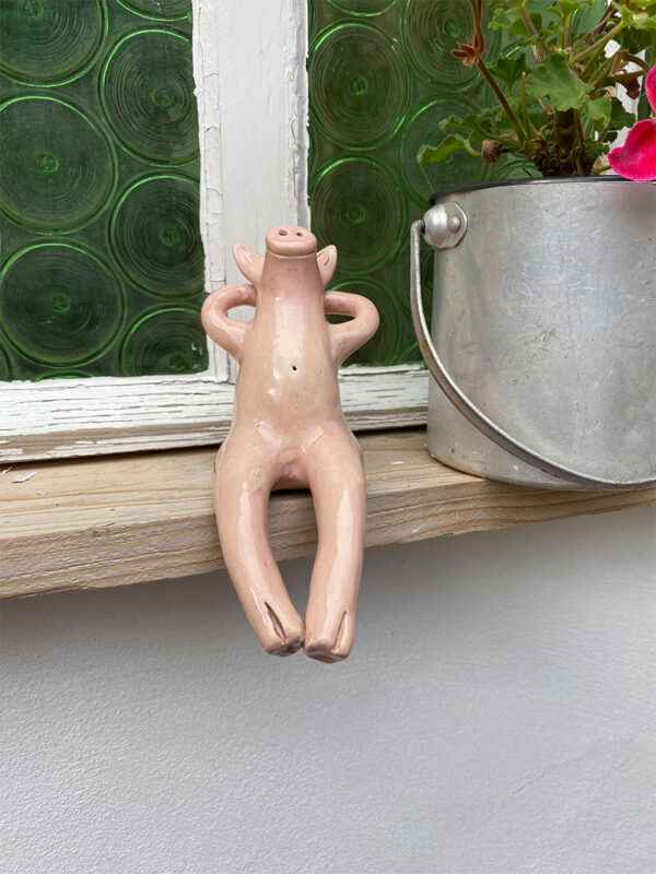 Kantenhockerschwein – Bild 3