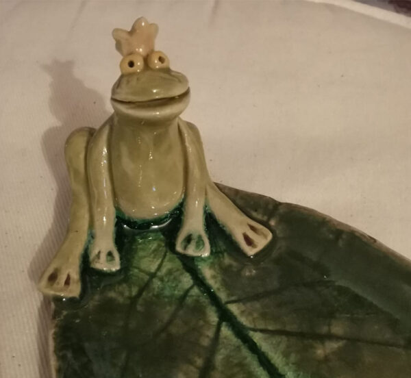 Frosch auf Blatt