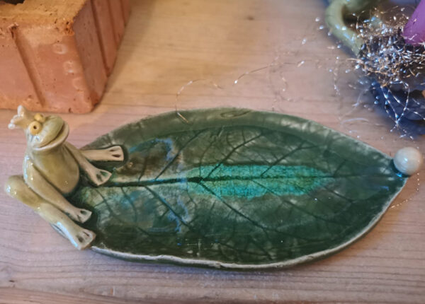 Frosch auf Blatt – Bild 3