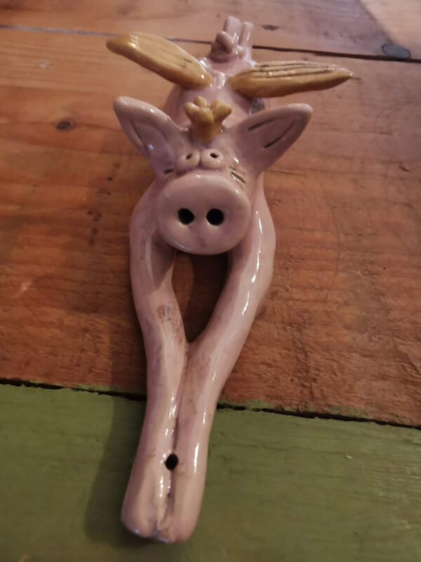 Flügelschwein – Bild 3