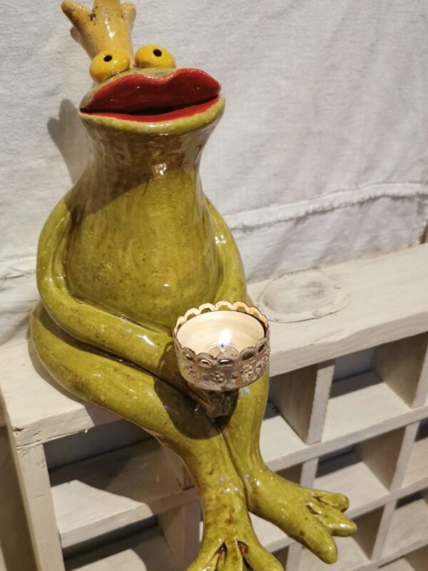Kantenhocker Frosch – Bild 3