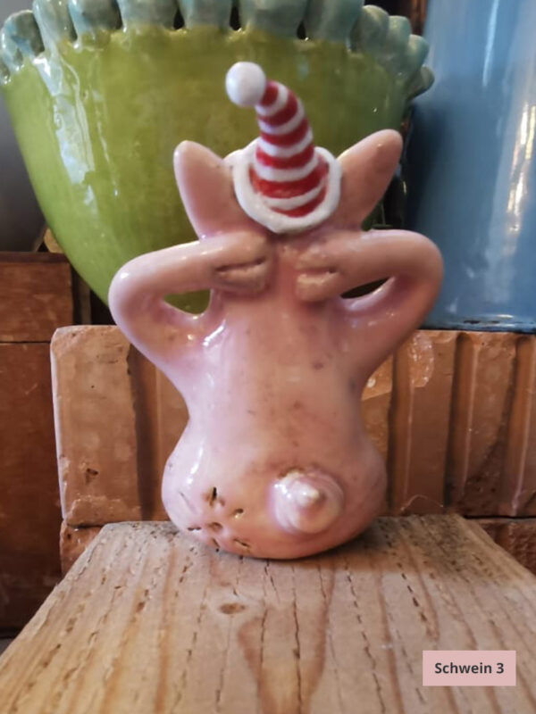 Ringelmützen Schweinchen – Bild 5