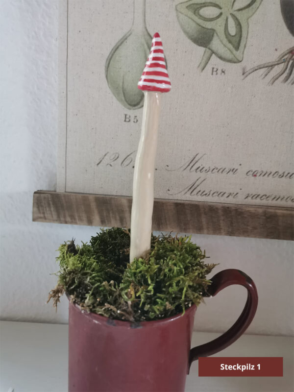 Steckpilze – Bild 16