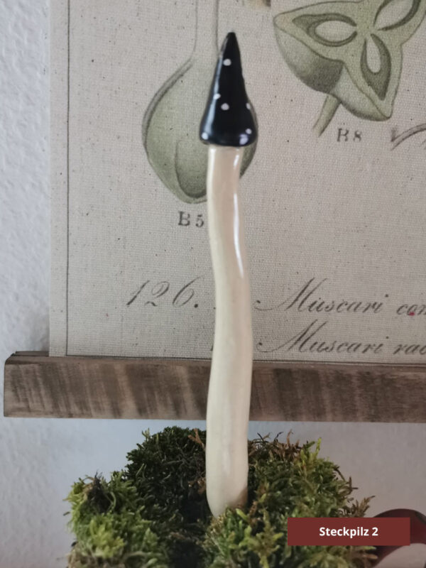 Steckpilze – Bild 15