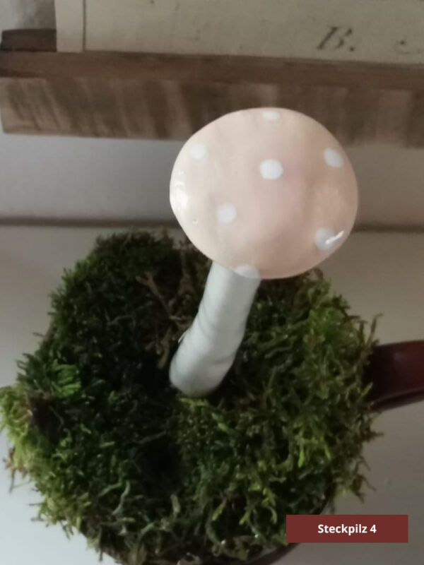 Steckpilze – Bild 11
