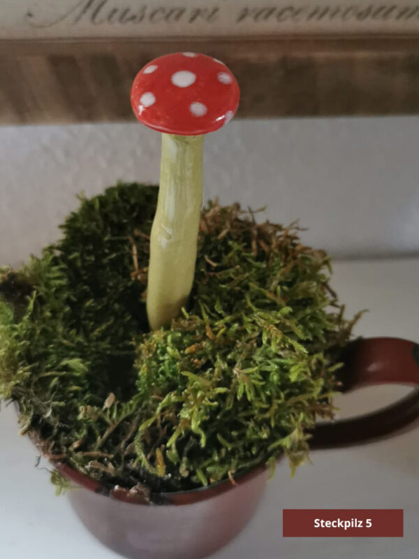 Steckpilze – Bild 9