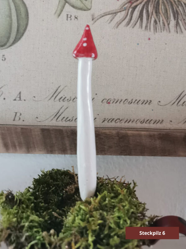 Steckpilze – Bild 8