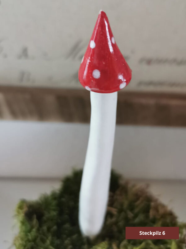 Steckpilze – Bild 7