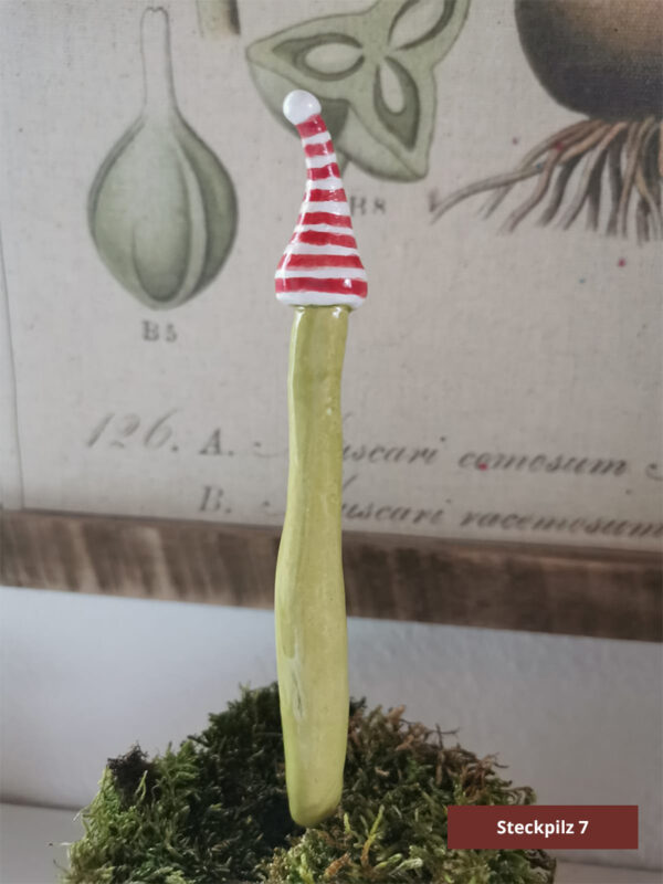 Steckpilze – Bild 6
