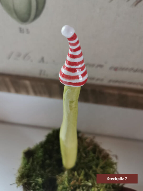 Steckpilze – Bild 5