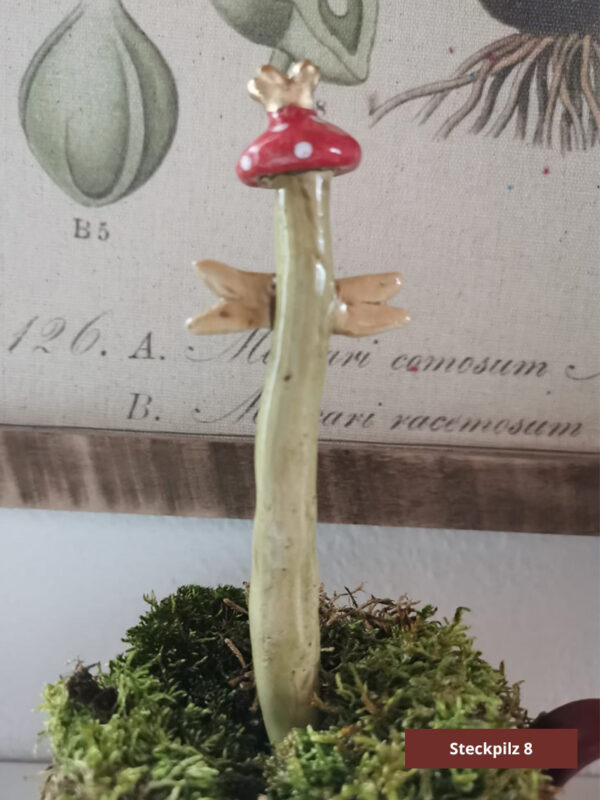 Steckpilze – Bild 3