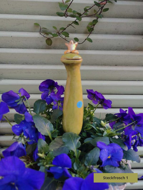Steckfrösche mit Krone – Bild 22