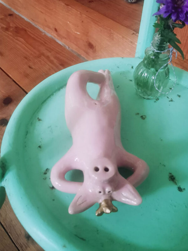 Chillendes Schwein – Bild 2