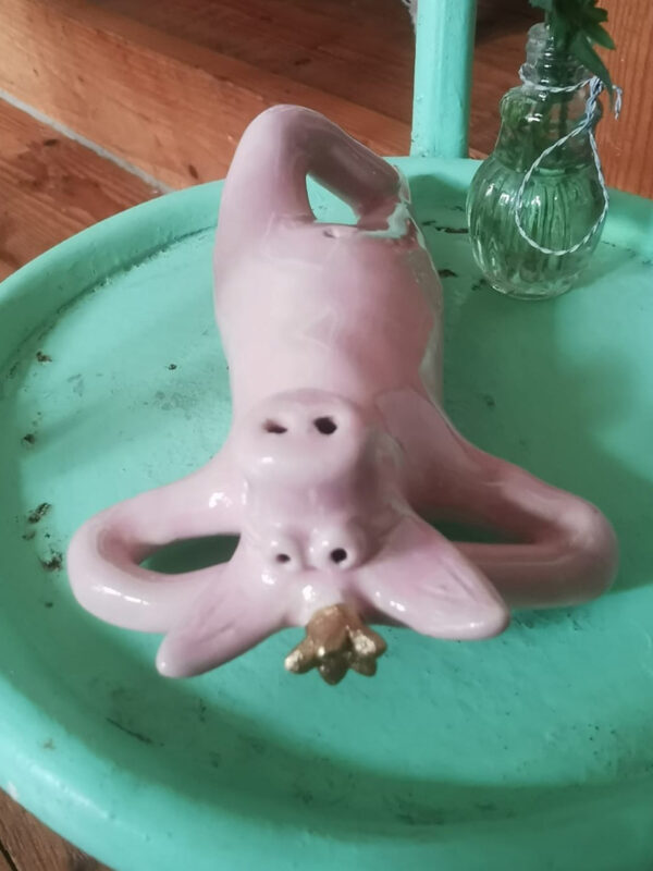 Chilliges Schwein – Bild 4