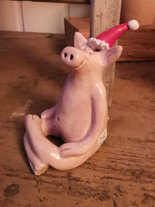 Yogaschwein