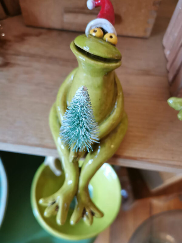 Frosch mit Nikolausmütze – Bild 3