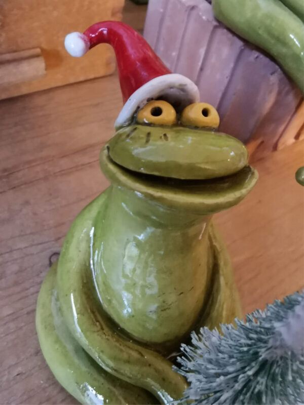 Frosch mit Nikolausmütze – Bild 2