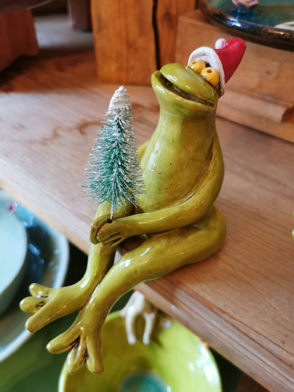 Frosch mit Nikolausmütze