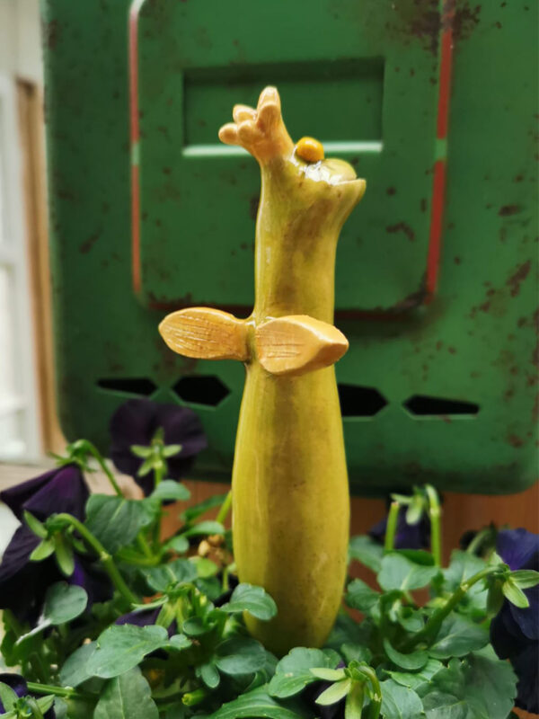 Froschstecker mit goldenen Flügeln – Bild 2