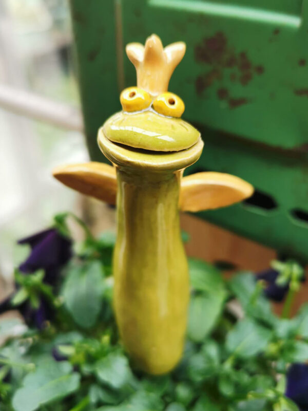 Froschstecker mit goldenen Flügeln – Bild 3