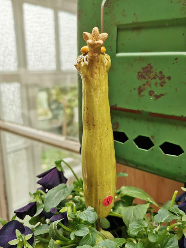 Froschstecker hellgrün – Bild 3