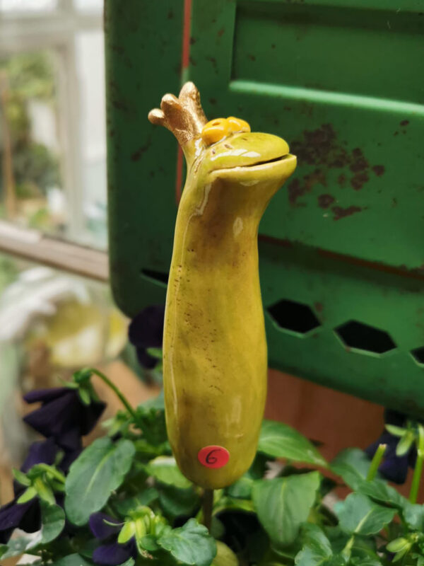 Froschstecker kiwi grün – Bild 3