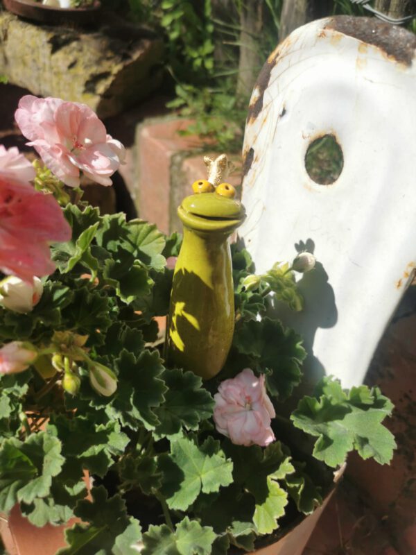 Froschstecker