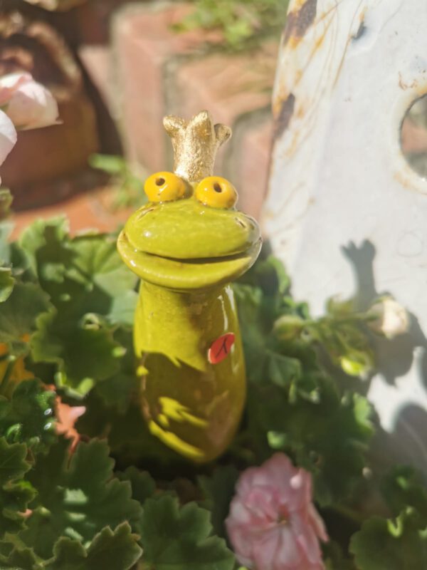 Froschstecker – Bild 2