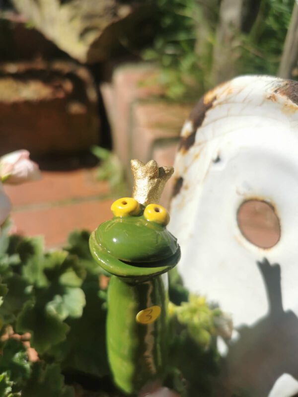 Froschstecker – Bild 2