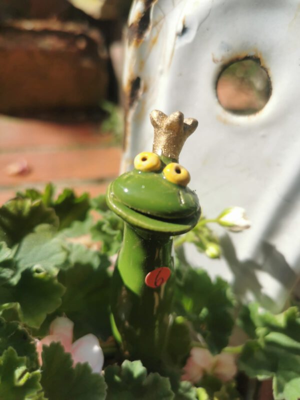 Froschstecker dunkelgrün – Bild 2