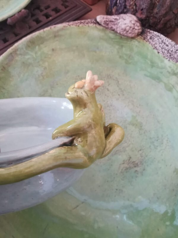 Froschschale – Bild 2