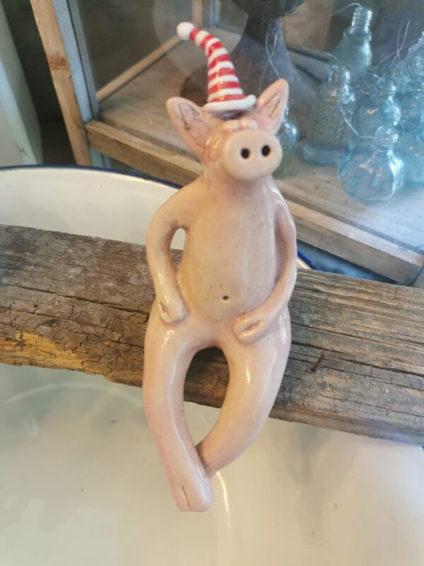 Kantenhockerschwein mit Ringelmütze – Bild 4