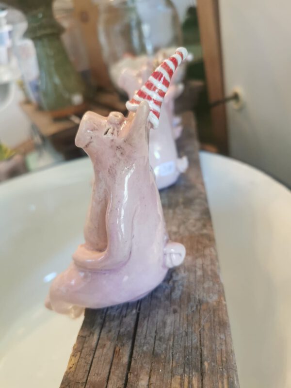 Kantenhockerschwein mit Ringelmütze – Bild 3
