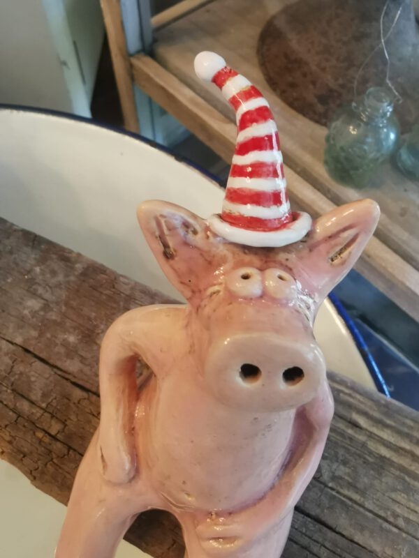 Kantenhockerschwein mit Ringelmütze – Bild 2