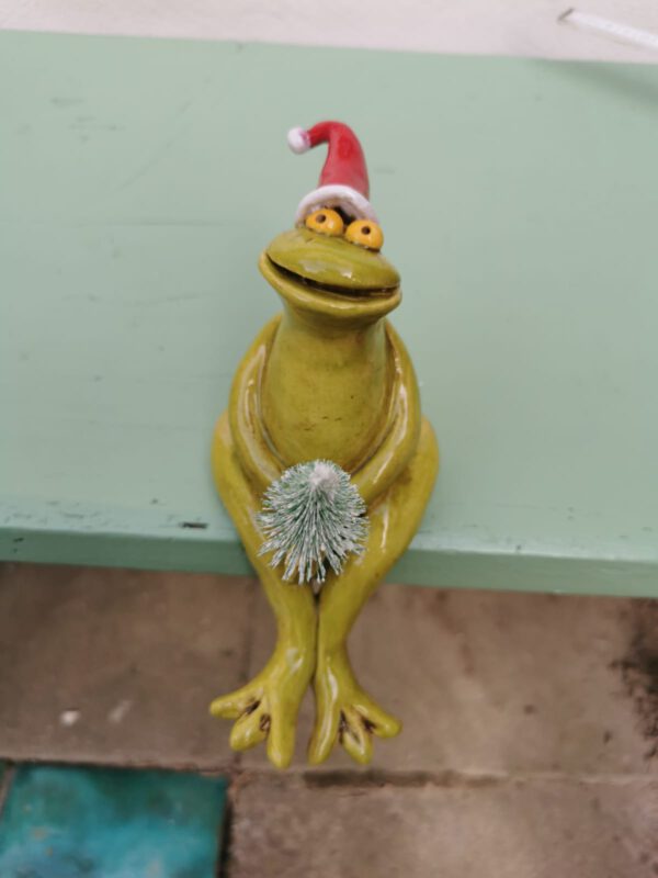 Weihnachtsfrosch – Bild 2