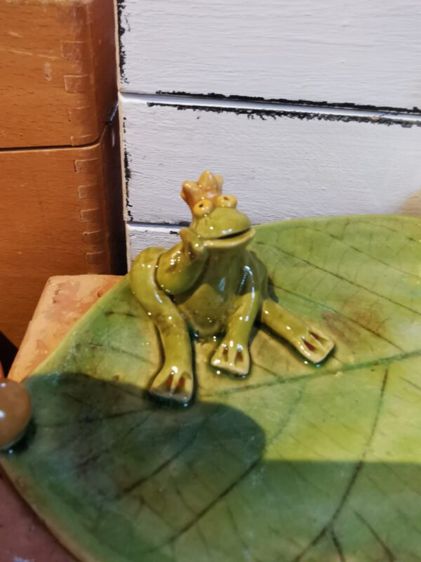 Blatt mit Sitzfrosch – Bild 2