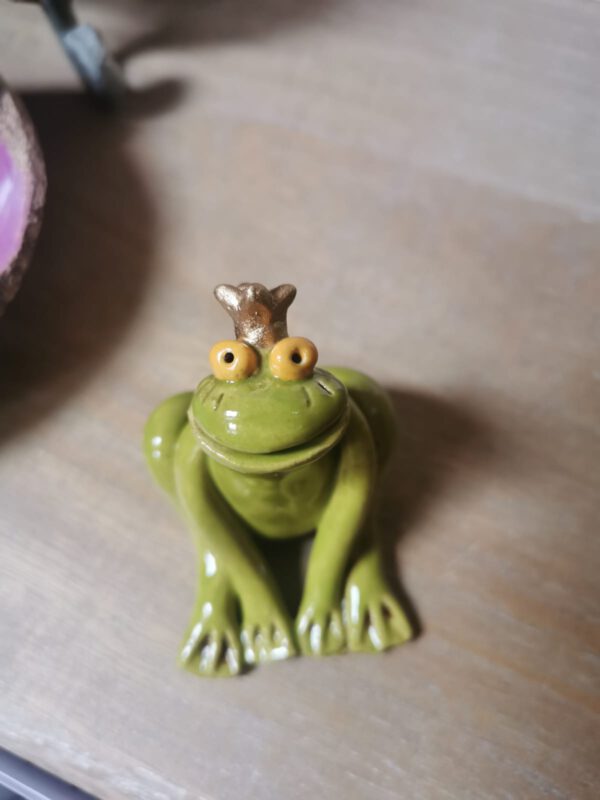 Sitzfrosch – Bild 2
