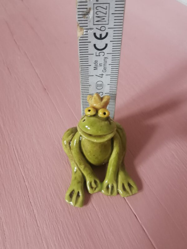 Kleiner Froschkönig – Bild 3