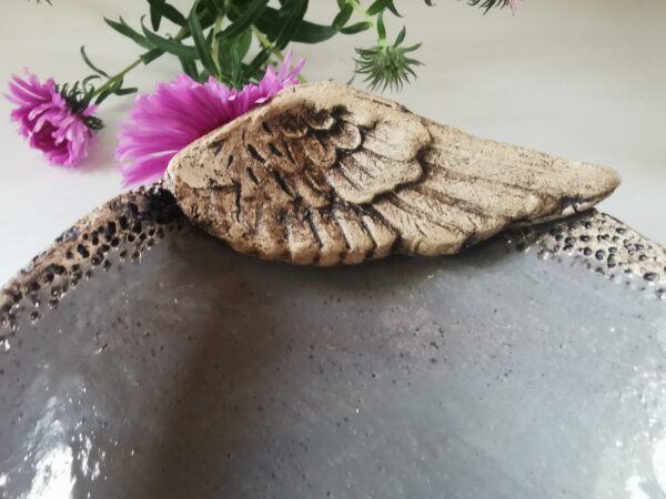 graue ENGELFLÜGELSCHALE – Bild 2