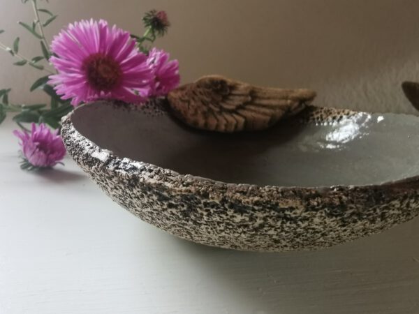 graue ENGELFLÜGELSCHALE – Bild 3