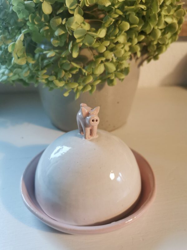 Schweine Dose