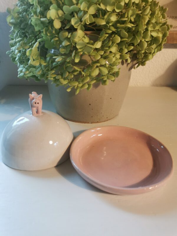 Schweine Dose – Bild 2