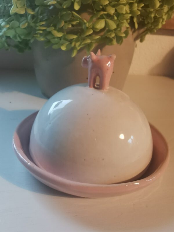 Schweine Dose – Bild 3