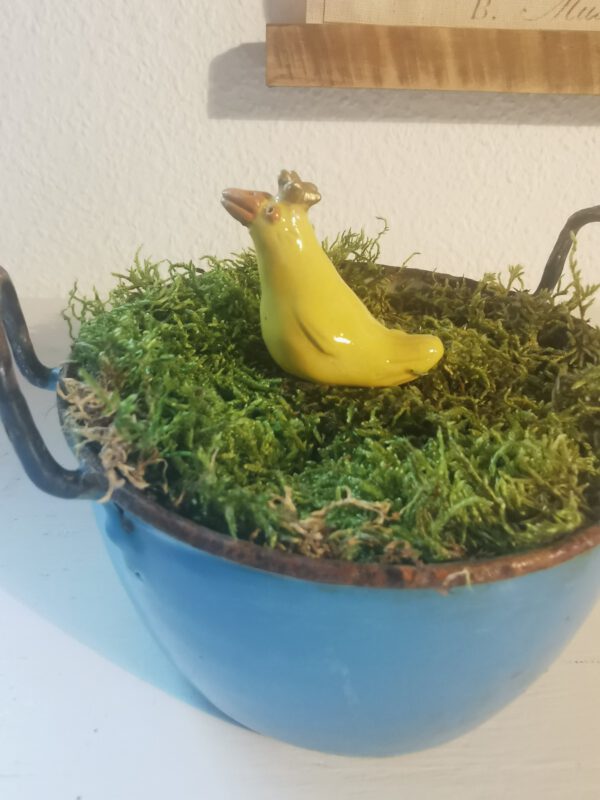 Gekrönte Ente – Bild 2