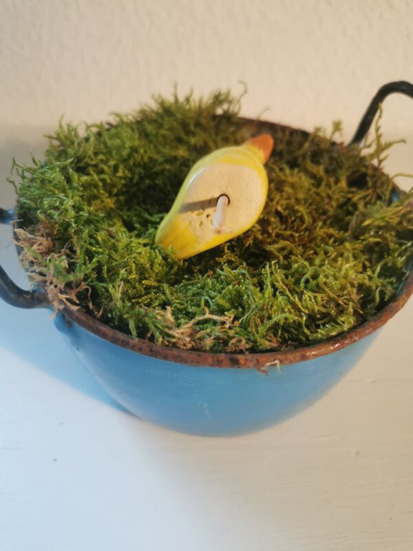 Gekrönte Ente – Bild 5